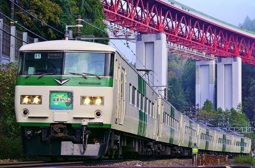 185系 200番台 『 宮オオ B5 編成：中央東線 臨時特急